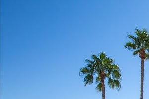 Alterra Apartments, 801 S Prudence Rd, Tucson, AZ - RENTCafé